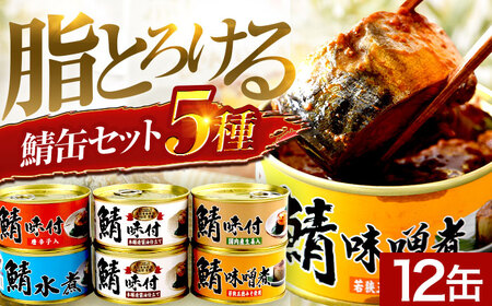 鯖缶詰12缶詰め合わせA / さば缶 缶詰 サバ 魚 小浜市 / 福井缶詰  [BFAB034]