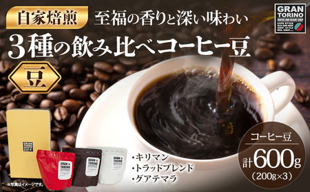 コーヒー 3種 飲み比べ 計600g コーヒー豆