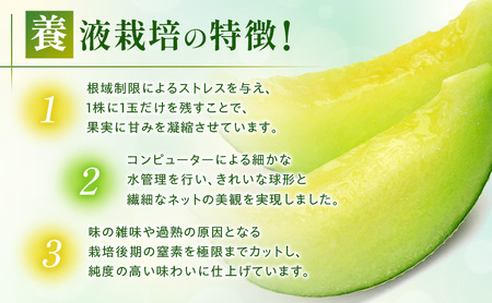 メロン 8月納品 静岡県産 アールスメロン 箱入り 1玉(約1.5kg) 果物 くだもの 果実 養液栽培 ポット 希少 甘み 島田市 静岡県