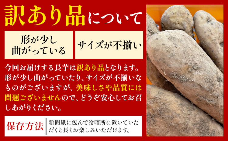 【2回定期便】2026年 先行予約【訳あり】十勝豊頃産 ながいも 10kg 植村農場 《12月上旬-2月末頃出荷予定》北海道 豊頃町 長芋 山芋 とろろ 野菜 旬 特産 産地直送 農家直送 家庭用 ま