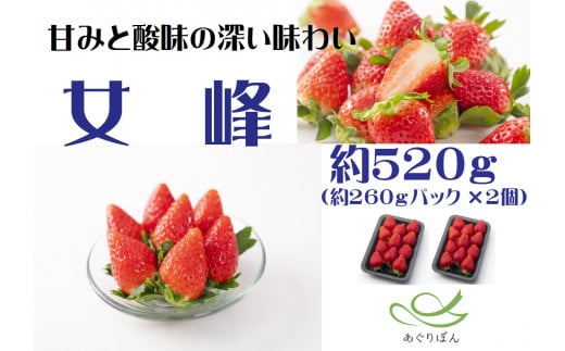 【ふるさと納税】あぐりぼん　いちご「女峰」　約260gパック×2個（約520g） いちご 果物 フルーツ デザート ストロベリー 果肉 スイーツ 甘い 国産 贈り物 贈答 プレゼント グルメ 人気 おすすめ 季節 旬 旬の果物 香川県 三木町 送料無料