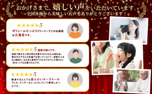 【Google口コミ星4.9の洋菓子店】べつかい 極濃チーズサンド 4個入り×2箱