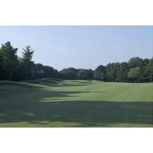 猿島カントリー倶楽部利用券9000円 ／ ゴルフ golf GOLF ごるふ ゴルフ場 チケット ちけっと 体験 プレー券 利用券 ゴルフ場利用券 チャンピオンコース アメリカンスタイル アクセス抜群