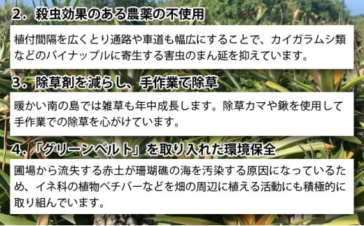 【2026年発送】ゴールドバレルたっぷり小玉セット