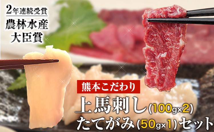 馬刺し 上赤身 ブロック 国産 熊本肥育 冷凍 生食用 たれ付き(100g×2)＋たてがみセット(50g×1) 肉 期間限定 絶品 熊本県大津町《90日以内に出荷予定(土日祝除く)》