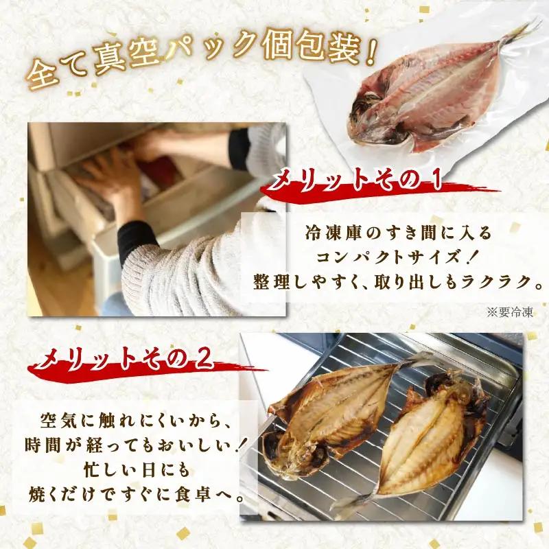 干物 伊豆 下田 ひもの万宝 アジ 干物 10枚 セット 冷凍 静岡 万宝商店