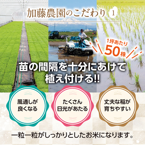 SI0040　【6回定期便】令和7年産 無洗米 特別栽培米 雪若丸　5kg×6回(計30kg)10月下旬発送開始「農家直送」 KA