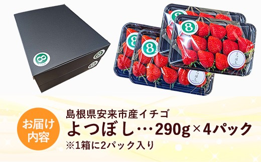 【先行予約】 よつぼし 4パック 【 選べる品種 約290g×4パック 四つ星 イチゴ いちご 苺 ストロベリー 冷蔵 安来市産】【16-FA-13】