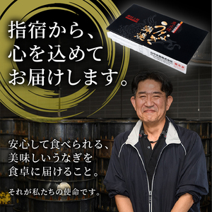 うなぎ 鹿児島県産 うなぎ 蒲焼 2尾 約330g IB022-001