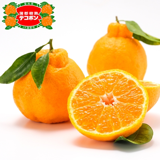 【期間限定】蒲郡樹熟デコポン 約３ｋｇ_【G0004】