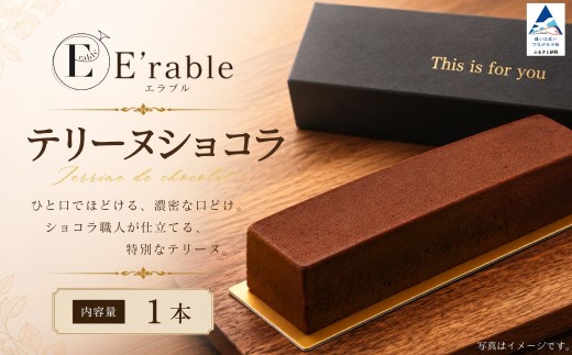 テリーヌショコラ 1本 チョコ チョコレート テリーヌ ショコラ 贈答 プレゼント | 石川県 小松市 エラブル 【E'rable ショコラトリー パティスリー】