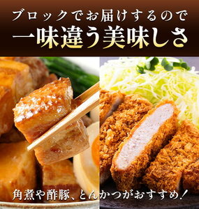 肥後あそび豚 ロースブロック 1kg×2パック 合計 2kg 《30日以内に出荷予定(土日祝除く)》熊本県 菊池市 ぶた ブタ 豚肉 肉 ブランド豚 ロース ブロック 国産 九州産 熊本県産 菊池市産