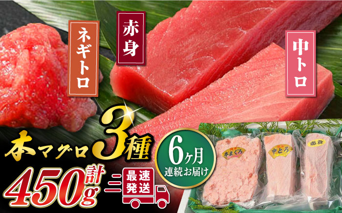 【全6回定期便】対馬産 本マグロ 3種 計450g（赤身/中トロ/ネギトロ）《対馬市》【対海】[WAH013] マグロ まぐろ 鮪 本鮪 本マグロ 養殖 トロ 中トロ 中とろ 赤身 ねぎとろ ネギトロ たたき 刺身 冷凍 海鮮 魚 柵 お祝い 贈答 定期便 毎月届く