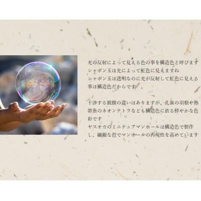 ふるさと納税 柏原市 チタン製ミニチュアマンホール【柏原市】ぶどう1枚 |  | 03