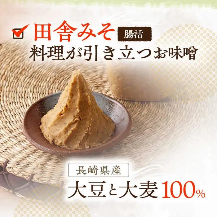 【3回定期便】さきちオリジナル 腸活3点セット（生あまざけ 100g×30本・手作り糀の田舎みそ(麦みそ)・食材のうまみ倍増 塩糀） [OBF034]