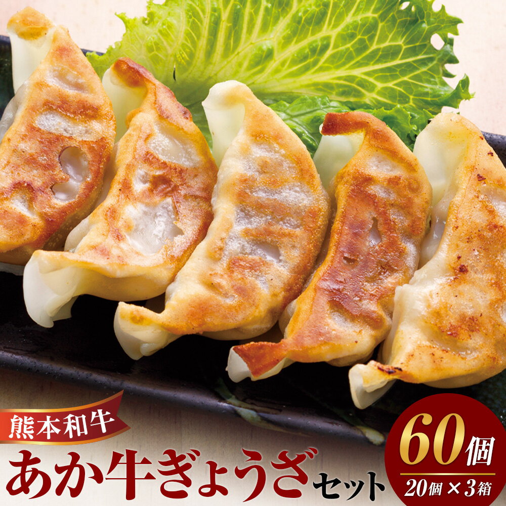 【ふるさと納税】熊本和牛 あか牛ぎょうざ 計60個（20個入り×3箱） キャベツ ニラ 野菜 牛肉 お肉 和牛 褐毛和種 餃子 ギョーザ 中華 惣菜 おかず 冷凍 熊本県産 国産 九州 熊本県 水上村 送料無料