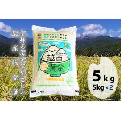 ふるさと納税 飯島町 長野県産 越百黄金米(精米)5kg×2袋 |  | 01