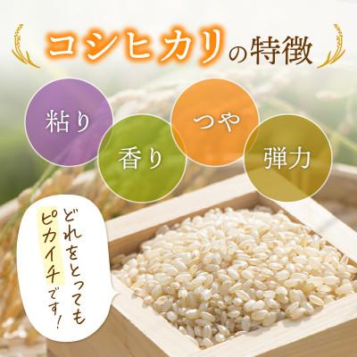 ふるさと納税 越前町 令和7年産　コシヒカリ(玄米)　5kg |  | 01