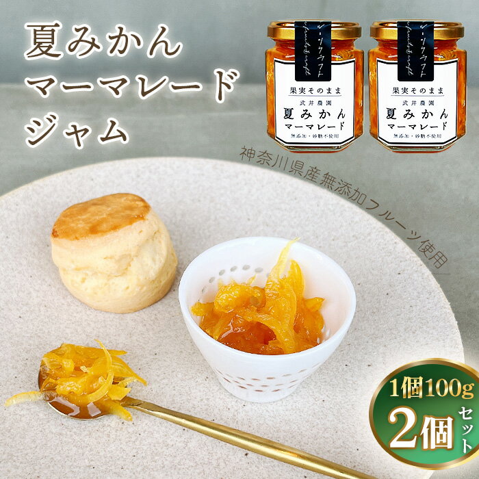 【ふるさと納税】No.084 夏みかんマーマレードジャム100g×2個 ／ 柑橘 ビタミンC 爽やか ママレード 人気 加工食品 手作り 白砂糖不使用 ペクチン不使用 無添加 フルーツスプレッド コンフィチュール トッピング 神奈川県産果物 神奈川県 特産品