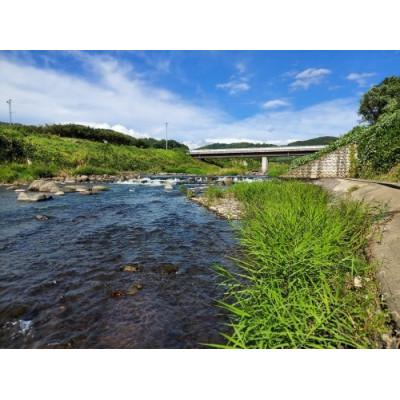 ふるさと納税 長野市 風さやか　精米　5kg |  | 03