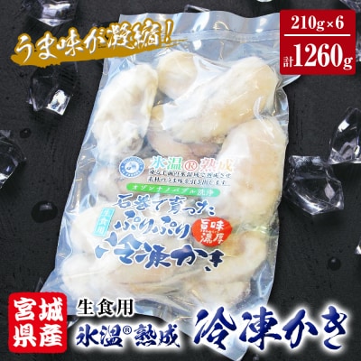 牡蠣 宮城県産 氷温熟成 かき 生食用(冷凍)210g×6袋 約1.26kg 小分け 冷凍 バラバラ