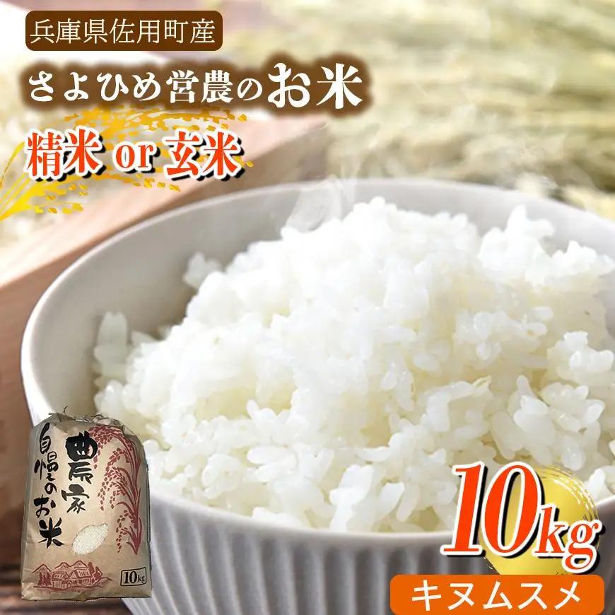 【兵庫県佐用町産】さよひめ営農のお米 10kg キヌムスメ/精米