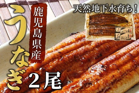 062-3-03-1 【ふるなびWEEK対象】天然地下水育ち!鹿児島県産うなぎ蒲焼2尾