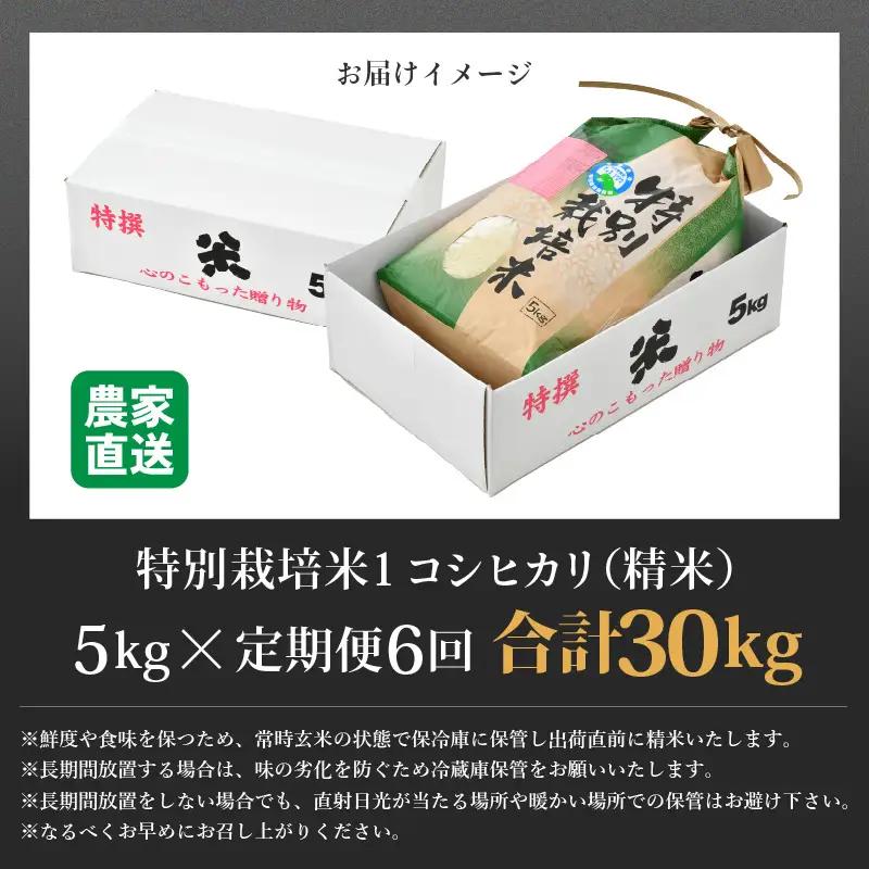 【先行予約】【令和8年産 新米】定期便《6ヶ月連続お届け》コシヒカリ 精米 5kg × 6回（計30kg）特別栽培米 農薬不使用 化学肥料不使用 ／ 残留農薬ゼロ 高品質 鮮度抜群 福井県産 ブランド