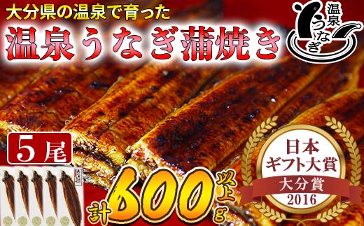 温泉うなぎ蒲焼 5尾（120gサイズ） 国産 九州 ＜104-005_5＞