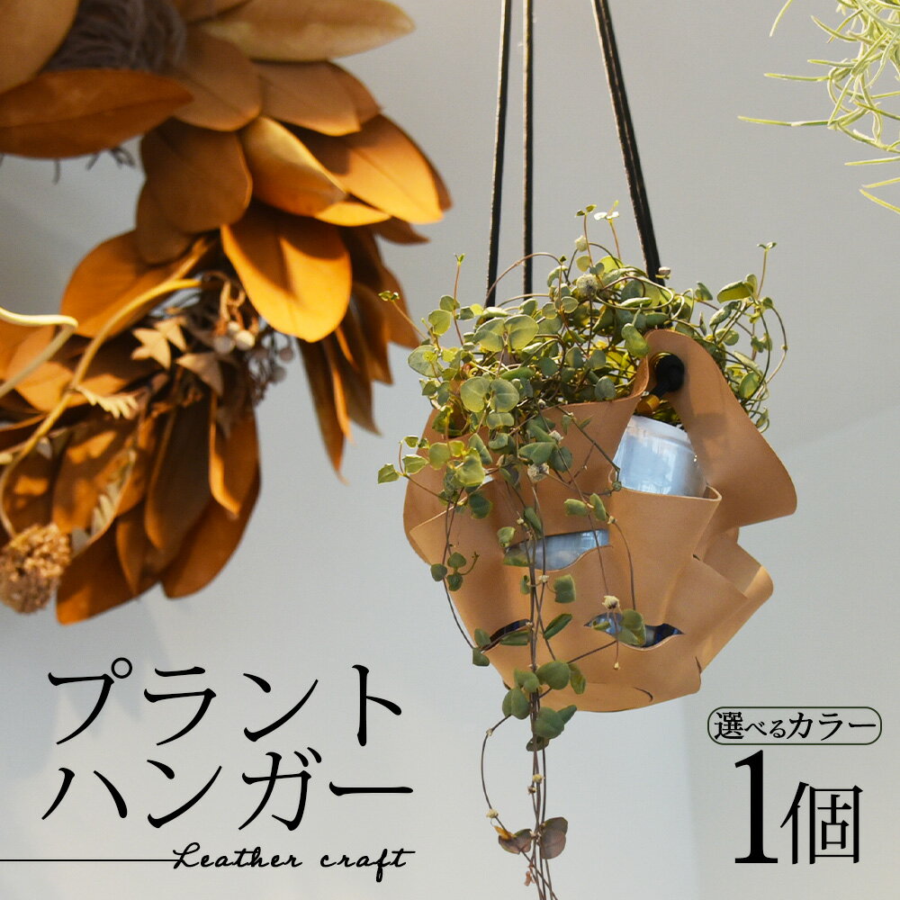 【ふるさと納税】選べるカラー＜プラントハンガー＞ ※入金確認後、翌月末迄に順次出荷します 革製品 Leather かわ インテリア 植物 ネット おしゃれ 飾り お部屋 吊るす かっこいい シンプル プチギフト 贈り物 おしゃれ【常温】