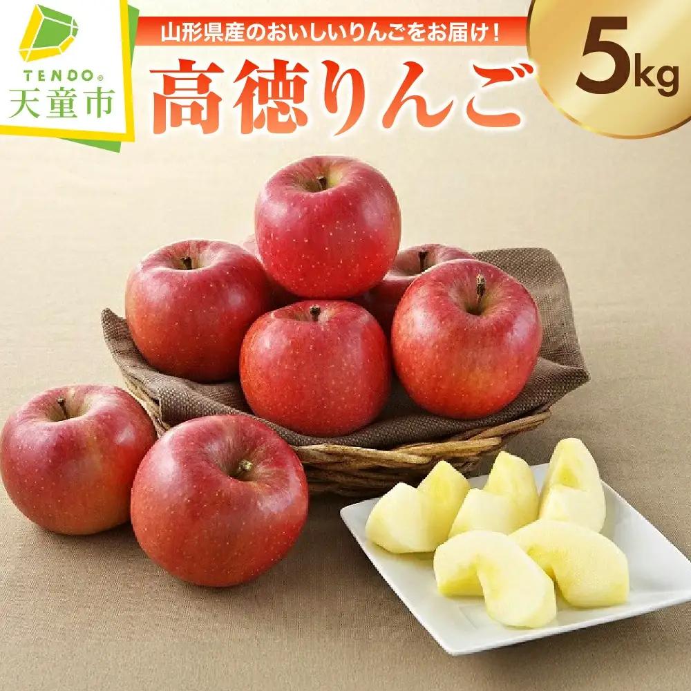 りんご ( こうとく ) 5kg 高徳 山形 こうとく