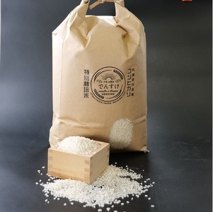 特別栽培米　丹波コシヒカリ　5kg