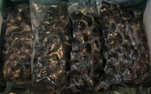 美味網走湖の砂出ししじみ【2kg】 ABAO2197