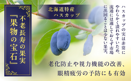 ホテルニュー王子 ジャム ハスカップ 大瓶 230g T048-004-03 果物 加工食品