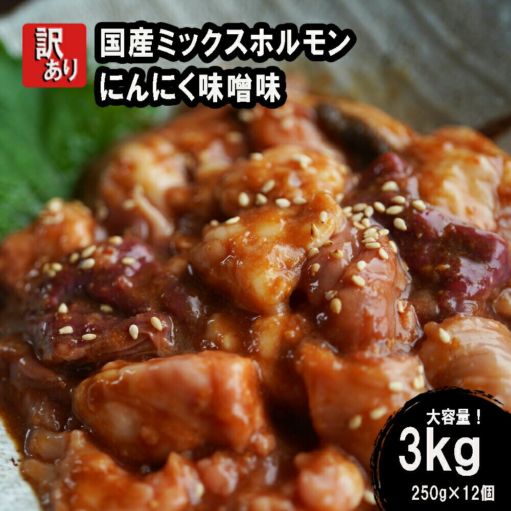 【ふるさと納税】 【 訳あり 】 国産牛 ミックスホルモン 3kg (250g×12) にんにく 味噌味 ミックス ホルモン 焼き 焼肉 味付 小分け 冷凍 味噌だれ 不揃い おつまみ 国産 牛 肉