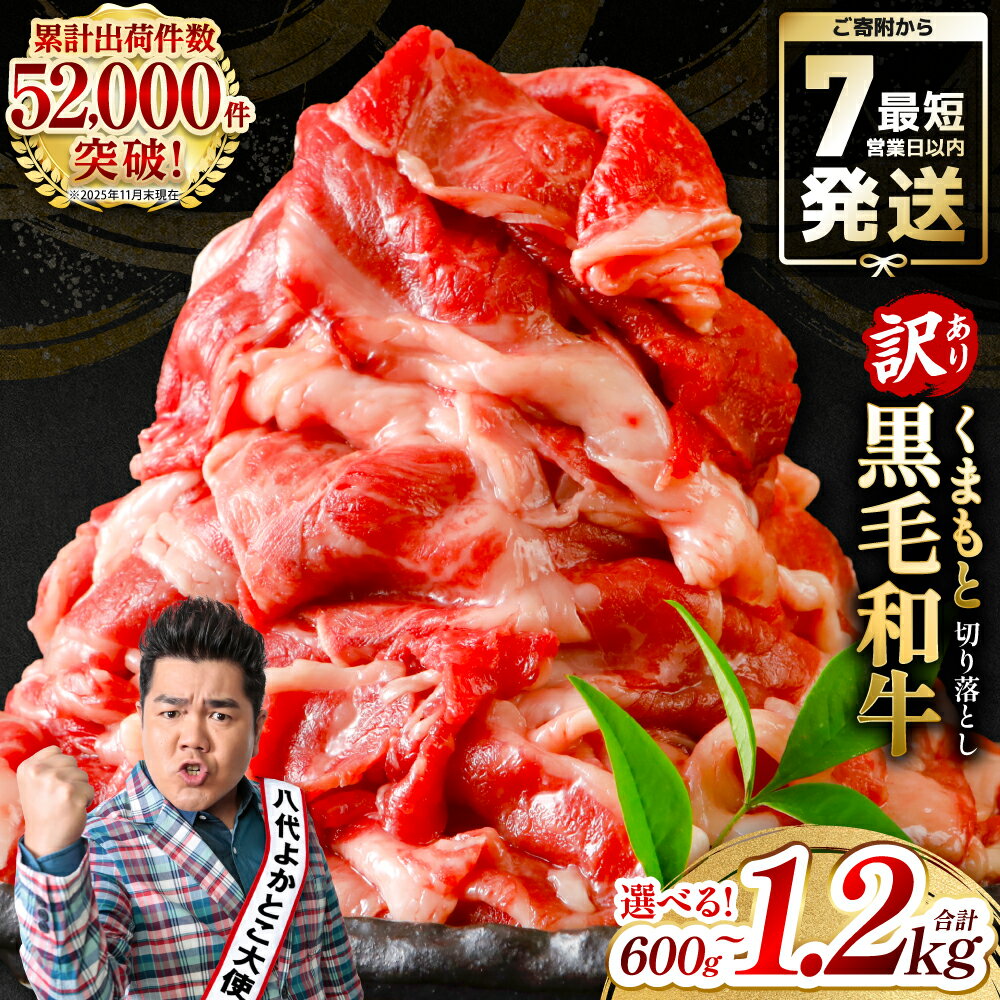 【ふるさと納税】 訳あり 黒毛和牛 牛肉 切り落とし 小分け パック 冷凍 600g〜1.2kg くまもと黒毛和牛【選べる内容量】 霜降り 部位ミックス 毎月数量限定 限定 国産牛 ブランド牛 国産 黒毛和牛 お肉 牛 牛肉 7営業日以内に発送 ＼ スピード発送 ／ 送料無料