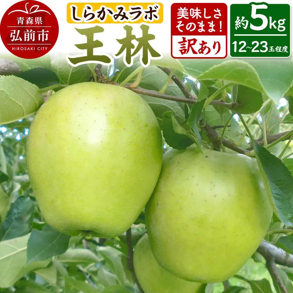 【26年12月中旬～発送】りんご 王林【訳あり】約5kg 先行受付 しらかみラボ 家庭用 青森県 弘前市 果物 フルーツ 林檎 リンゴ くだもの 不揃い 規格外