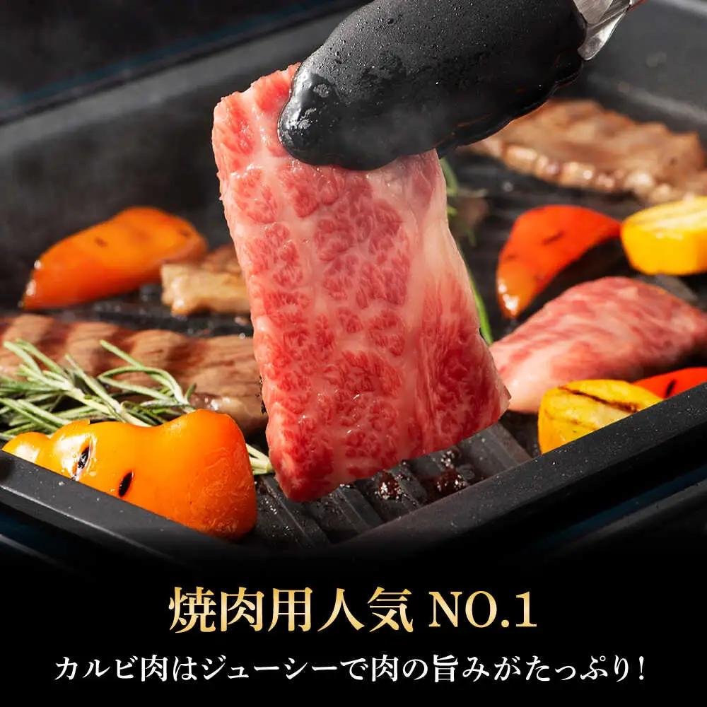 くまもと黒毛和牛「藤彩牛」バラ(カルビ)とロースの2種セット 3899 焼肉 BHAD009