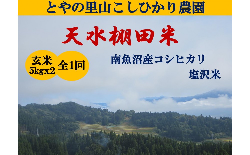 
                  【令和8年産新米予約】【天水棚田米】雪蔵熟成塩沢産コシヒカリ玄米10kg1回「とやの里山継承プロジェクト」【2026年10月下旬より1ヶ月以内に順次発送予定】
                