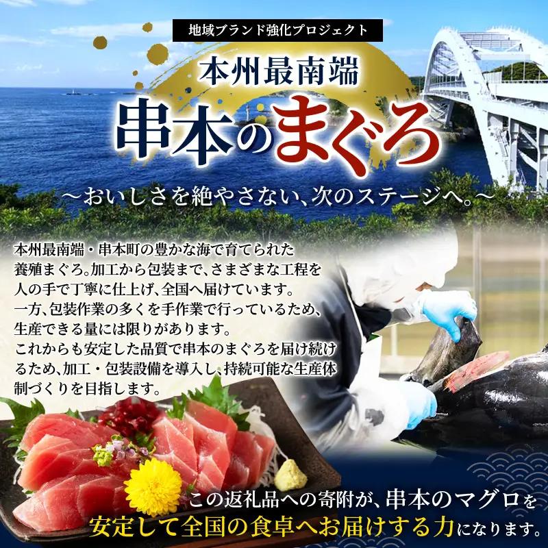 まぐろ 本マグロ 大トロ&中トロ＆赤身セット 500g（養殖)  【配達日指定不可】【nks110D】
