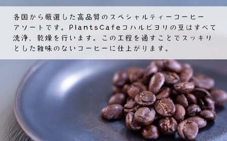 スペシャルティーコーヒーアソート６種類　（２００g×６）豆のまま1.2kg