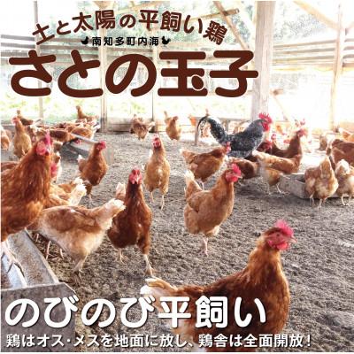 ふるさと納税 南知多町 さとの平飼い玉子20個&季節の野菜セット |  | 01