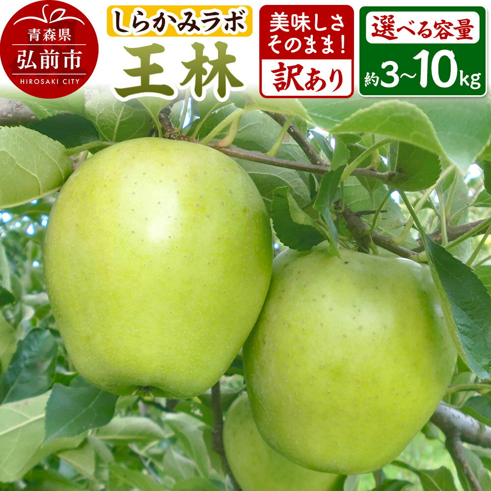 【ふるさと納税】りんご 王林【訳あり】【選べる容量】しらかみラボ