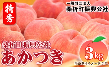 もも【あかつき・2026年産先行受付】特秀3kg（9～11玉）桑折町振興公社 ／ もも モモ 果物 フルーツ 旬 甘い 甘み ジューシー 果肉 果汁 新鮮 フレッシュ デザート おいしい 産地直送 桑折 こおり こおりまち 福島県 特産品 No.181
