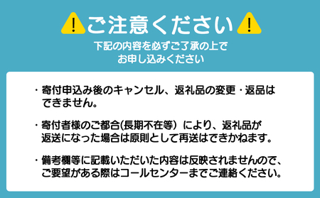 牛乳羊羹・本練羊羹 各1本