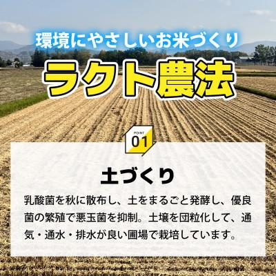 ふるさと納税 小浜市 令和7年産新米こしひかり玄米20kg(ラクト農法) |  | 01
