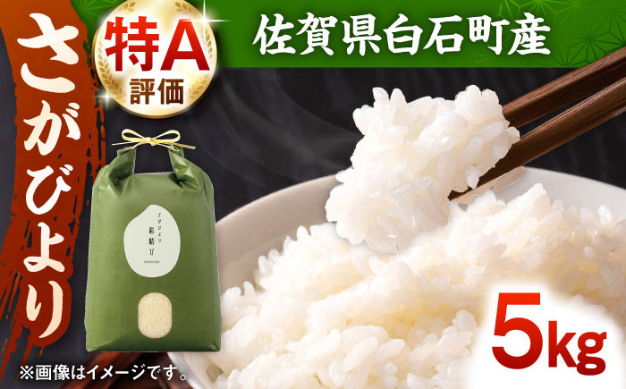 
                  令和7年産  さがびより 5kg【ちわたのふぁーむ】 米 5kg  精米 特A 特A評価  佐賀県産 国産米 コメ こめ お米 白米 ブランド米 さがびより 九州 佐賀県 白石町 人気 おすすめ 白石  令和8年発送[IDE001]
                