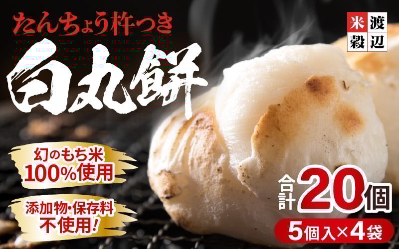 
            丸もち たんちょう杵つき「白丸餅」5個 × 4パック 計20個 特別栽培もち米使用！ ～幻のもち米100％使用～ 塩・砂糖不使用 【つきたて モチモチ 添加物・保存料不使用 お雑煮 ぜんざい おやつにも 餅 もち おもち お餅 丸もち】 [A-2994]
          
