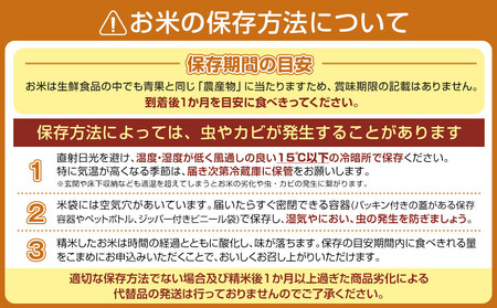 新米予約【令和8年産】【定期便】「雲海米」南魚沼塩沢産コシヒカリ　精米5kg x 全6回【2026年10月上旬から1ヶ月以内に順次発送予定】