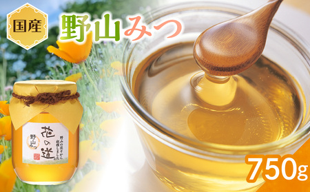 国産純粋蜂蜜 野山みつ 750g 非加熱 はちみつ ハチミツ 生はちみつ ローハニー オススメ 贈答 贈り物 プレゼント 八女市 183-027